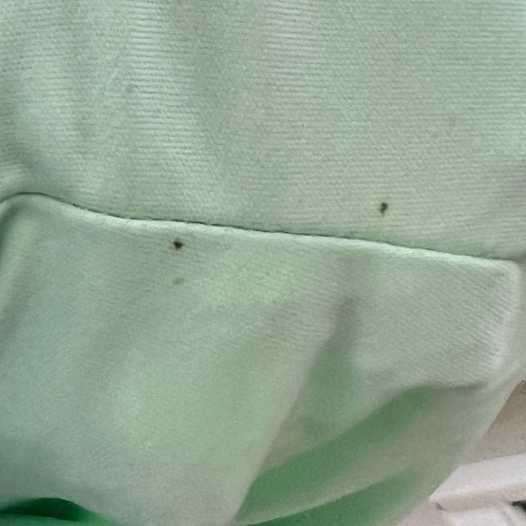 ANTHROPOLOGY BIRDCAGE BELTED SHIFT DRESS SM MINT TEXTURED FABRIC SHEER SLEEVES - Picture 10 of 13